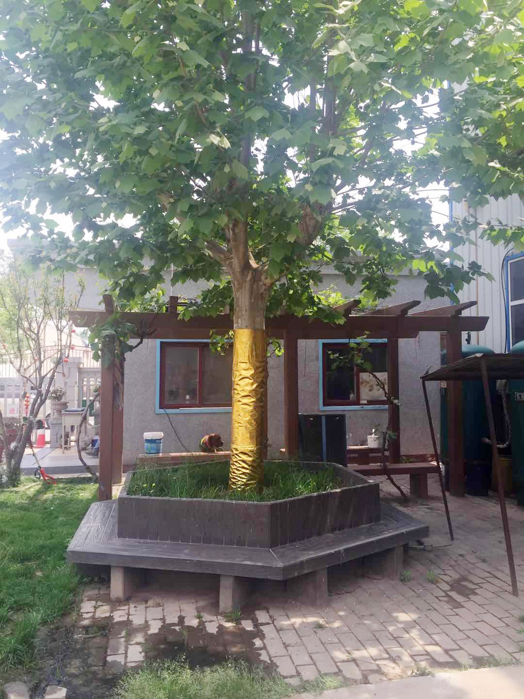 仿木圍樹凳 (2).jpg