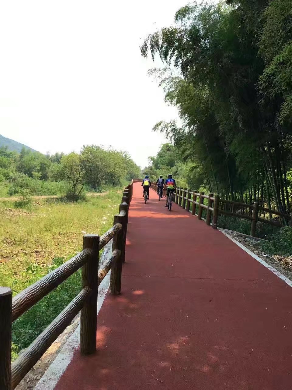 仿樹皮兩扶手護欄 (26).jpg