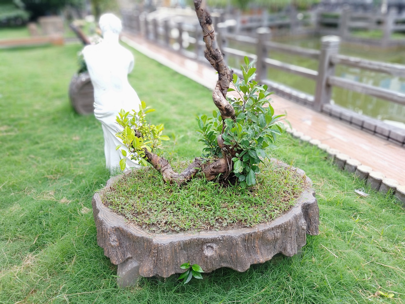 根雕盆景 (3).jpg