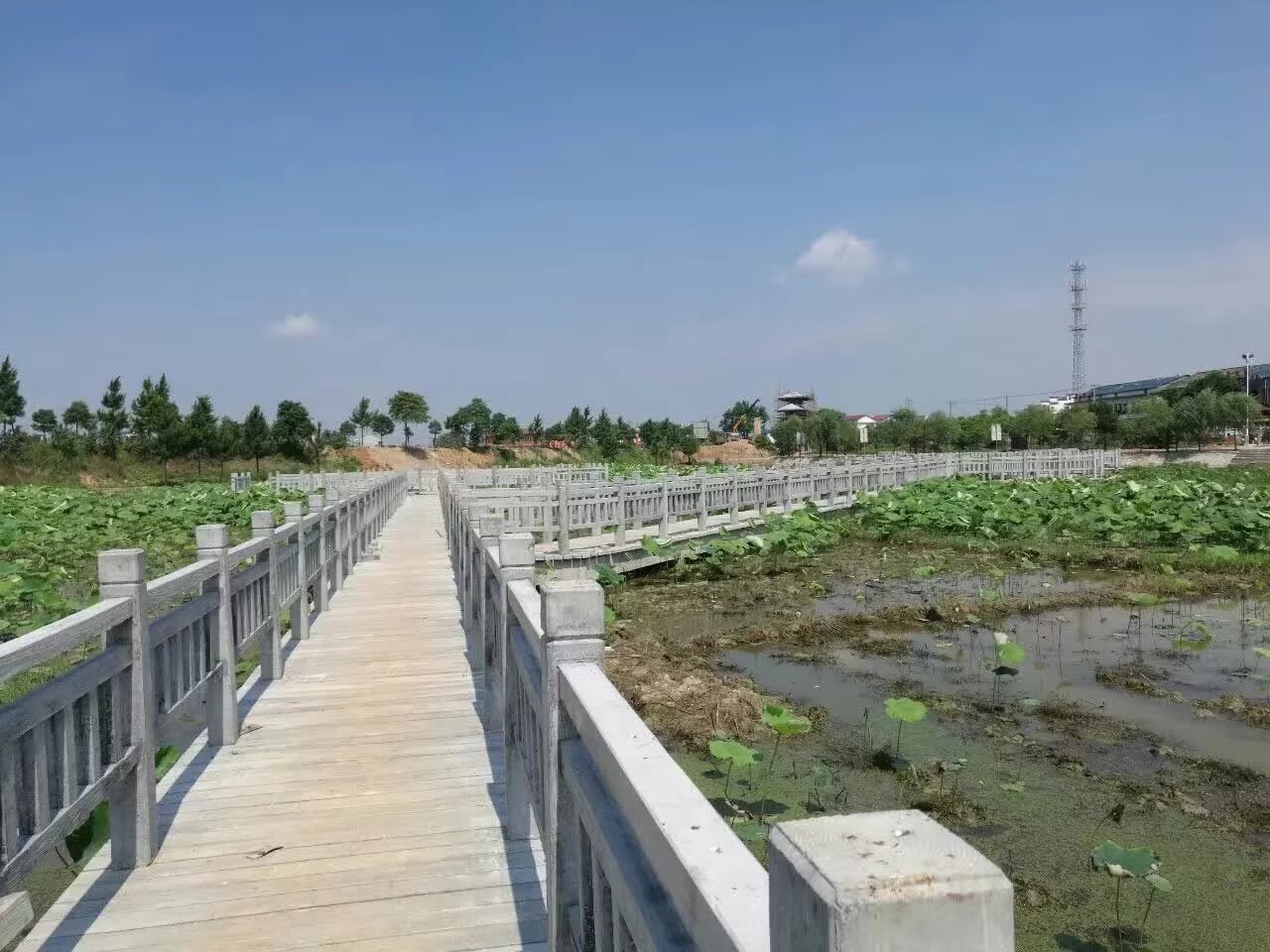 1.5米仿木護欄 (21).jpg