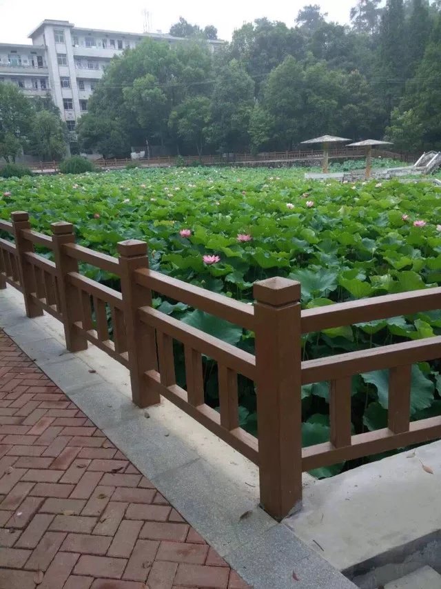 1.5米仿（fǎng）木護欄 (13).jpg