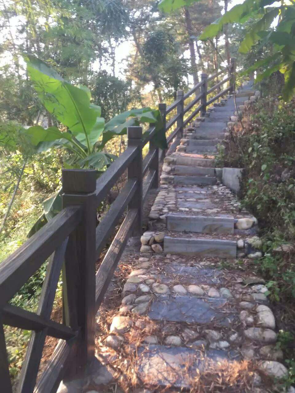 X型仿木護欄  (94).jpg